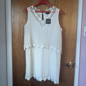 Topshop Off White/ Cream Floral Embroidered Dress